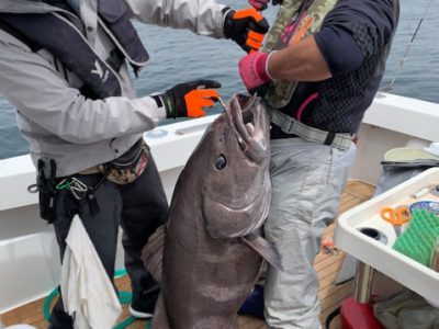 2021/05/23釣果